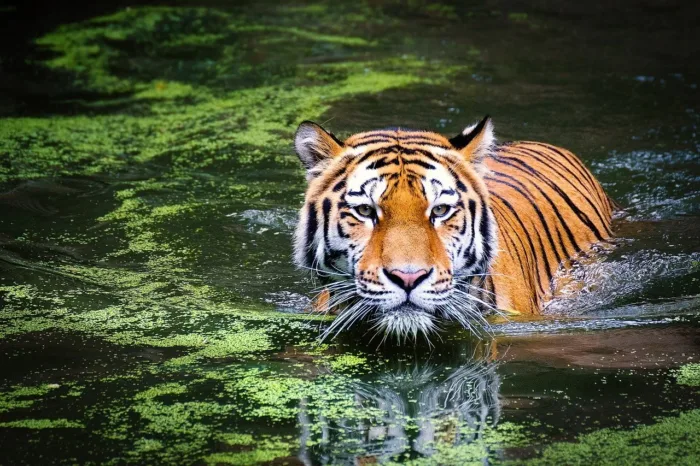 Obiteljski izlet: ZOO Ljubljana + Primark